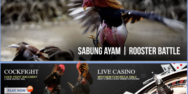 akun demo slot pragmatic play indonesia